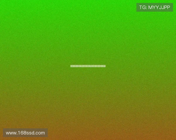 专访篮球名将陈芳深度剖析成功背后的秘诀与心路历程