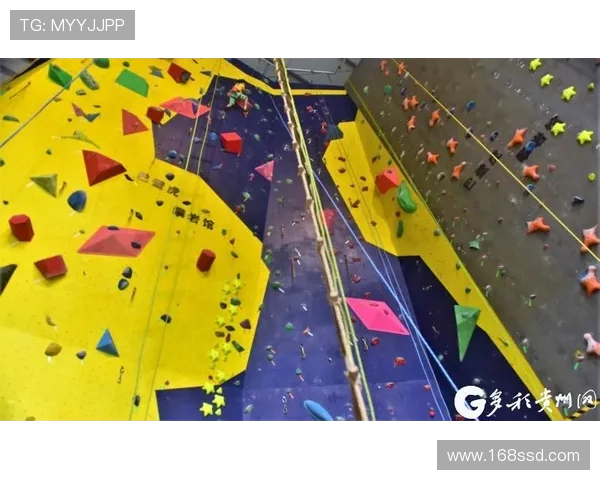 南京攀岩队比赛经验引发热议专家与选手观点大碰撞 南京攀岩队比赛经验引发热议专家与选手观点大碰撞