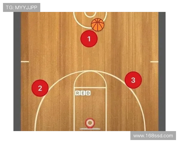 南京排球队反击战术深度解析与实战应用探讨 南京排球队反击战术深度解析与实战应用探讨