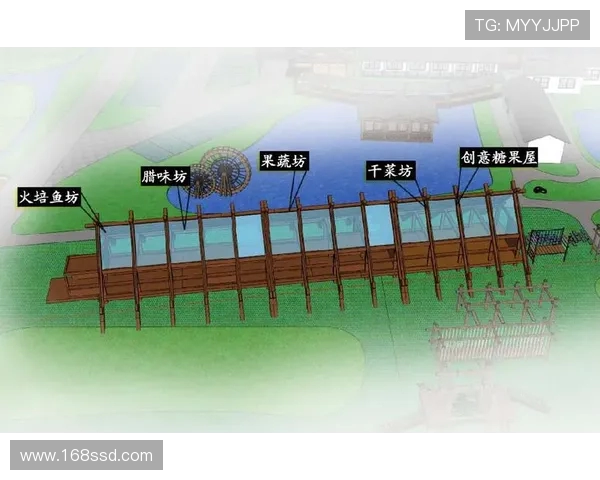 独家揭秘：杭州极限运动队协作方式的深度对比分析与启示